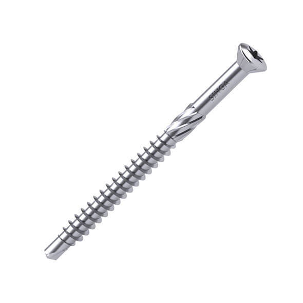 Metal screw on a white background